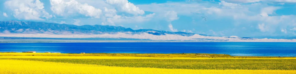Header Image