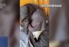 为了流量和金钱，3人摆拍”深山救助流浪女” 被央视揭发遭行拘