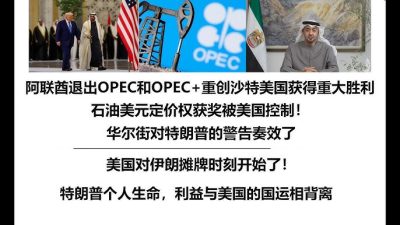 阿联酋退出欧佩克后果严重 影响石油市场格局