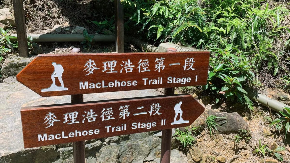 三名男子西貢疑行山失蹤　救援人員漏夜登山搜索　至清晨尋回一人
