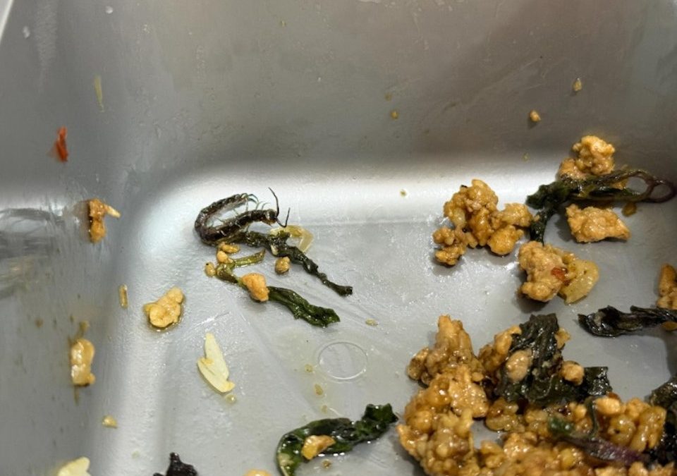 中環泰國菜餐廳外賣藏蜈蚣！　職員解釋「係花嚟」拒退款