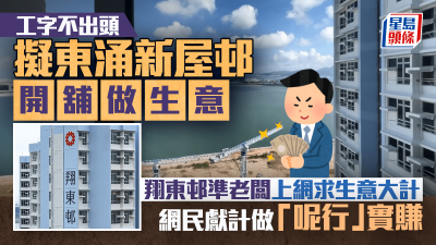 擬東涌新屋邨開舖做生意 翔東邨準老闆上網求生意大計 網民獻計做「呢行」實賺