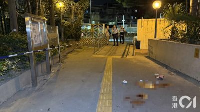 元朗搶劫傷人案｜偷渡漢𠝹刀傷歸家婦掠$250　警閃電拉人起回現金