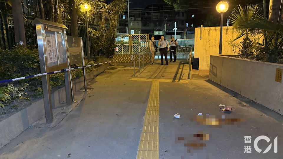 元朗搶劫傷人案｜偷渡漢𠝹刀傷歸家婦掠$250　警閃電拉人起回現金