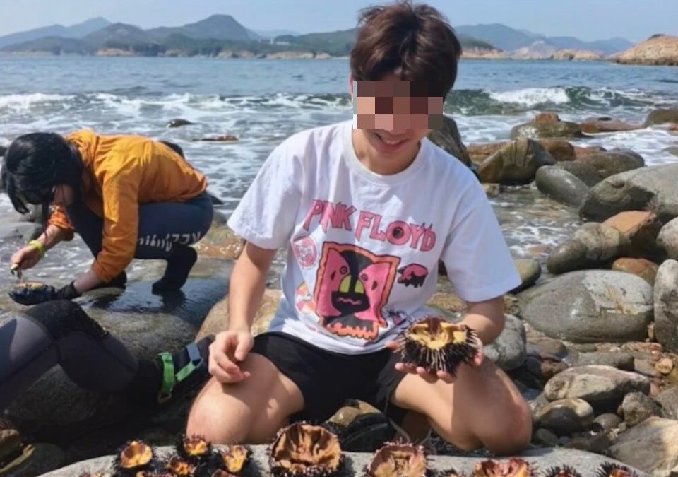 內地客西貢火石洲捉海膽食用　引香港居民担忧致過度捕捉