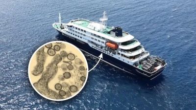 新增3例！汉坦病毒两大关键信息曝光：确定最强传染期、零号病人