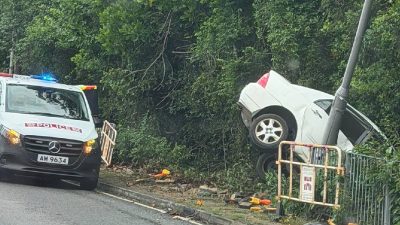 東涌道私家車失事　衝出行車線撞燈柱　「倒豎葱」直插路邊叢林