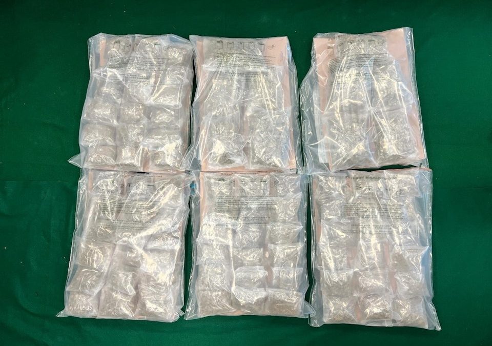 海關上環港澳碼頭拘26歲澳門抵港男　揭行李藏$100萬大麻花