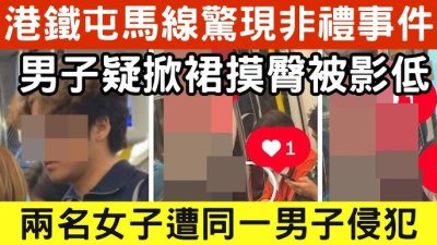 涉屯馬綫車廂上非禮女子 中年核數師獲准保釋8.14再訊