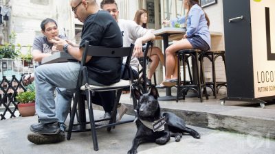 狗隻入食肆｜食環署接獲逾2000宗申請　下周一截止將抽籤分配名額