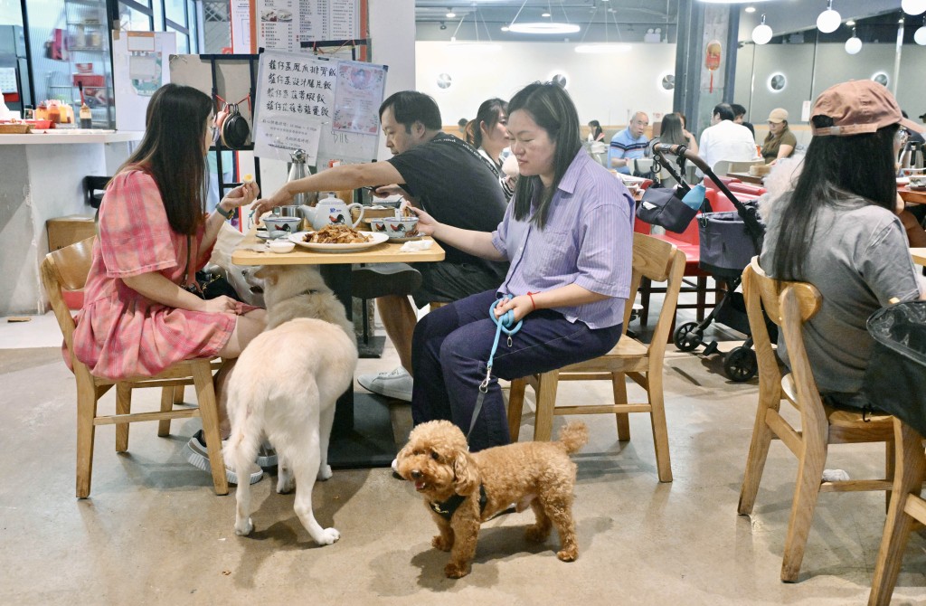 狗隻入食肆︱食環署剔除重複或不合資格 周五為餘下1615宗申請抽籤