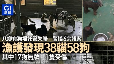 八鄉新隆圍狗場託管貓狗失聯　漁護發現96貓狗　17狗無牌1隻受傷