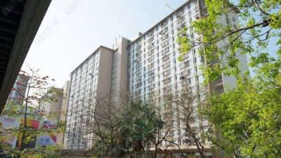 上水彩園邨16歲少年與女鄰居爭執互毆 向對方噴殺蟲水 兩人涉打架同被捕
