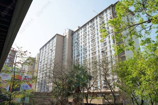 上水彩園邨16歲少年與女鄰居爭執互毆 向對方噴殺蟲水 兩人涉打架同被捕