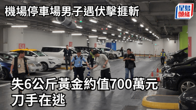 機場停車場男子遇伏擊捱斬 失6公斤黃金約值700萬元 3刀手在逃